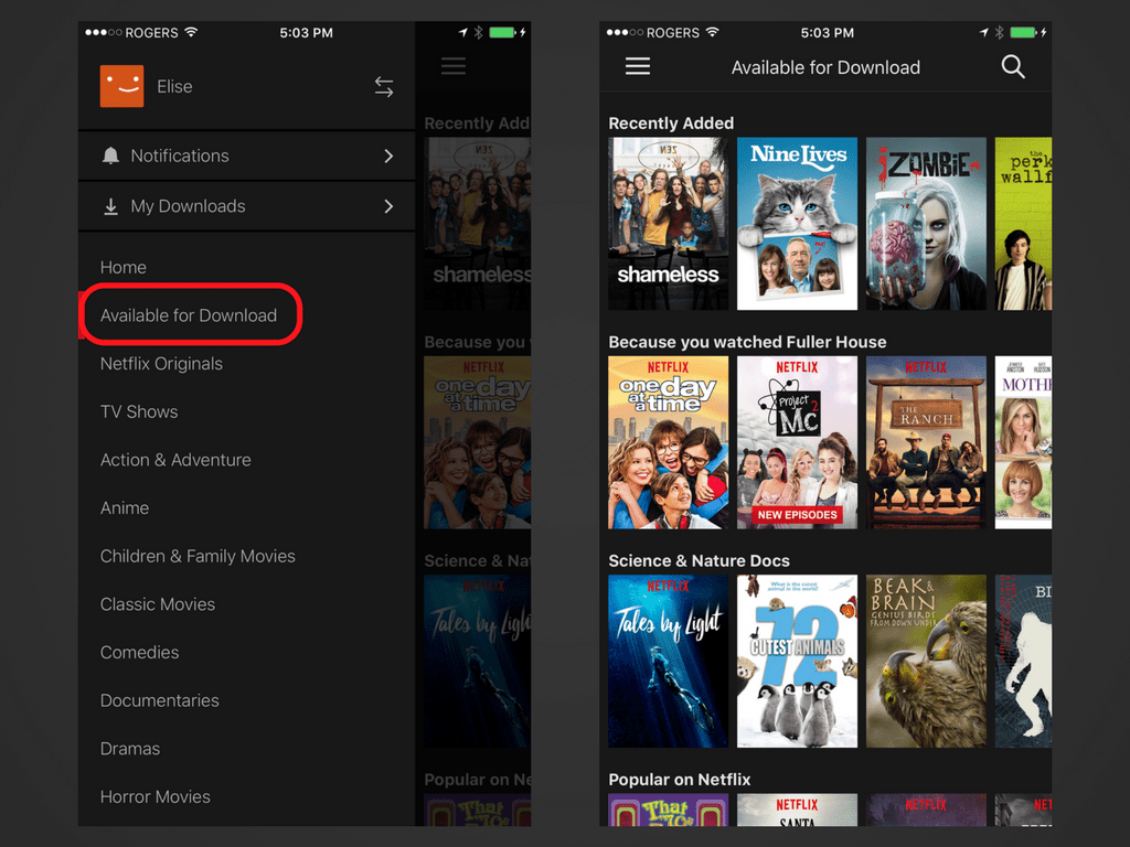 can you download netflix on mac for offline